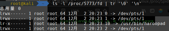 image-20191202072352486