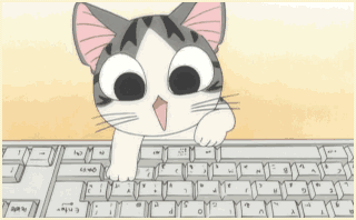 小猫敲键盘